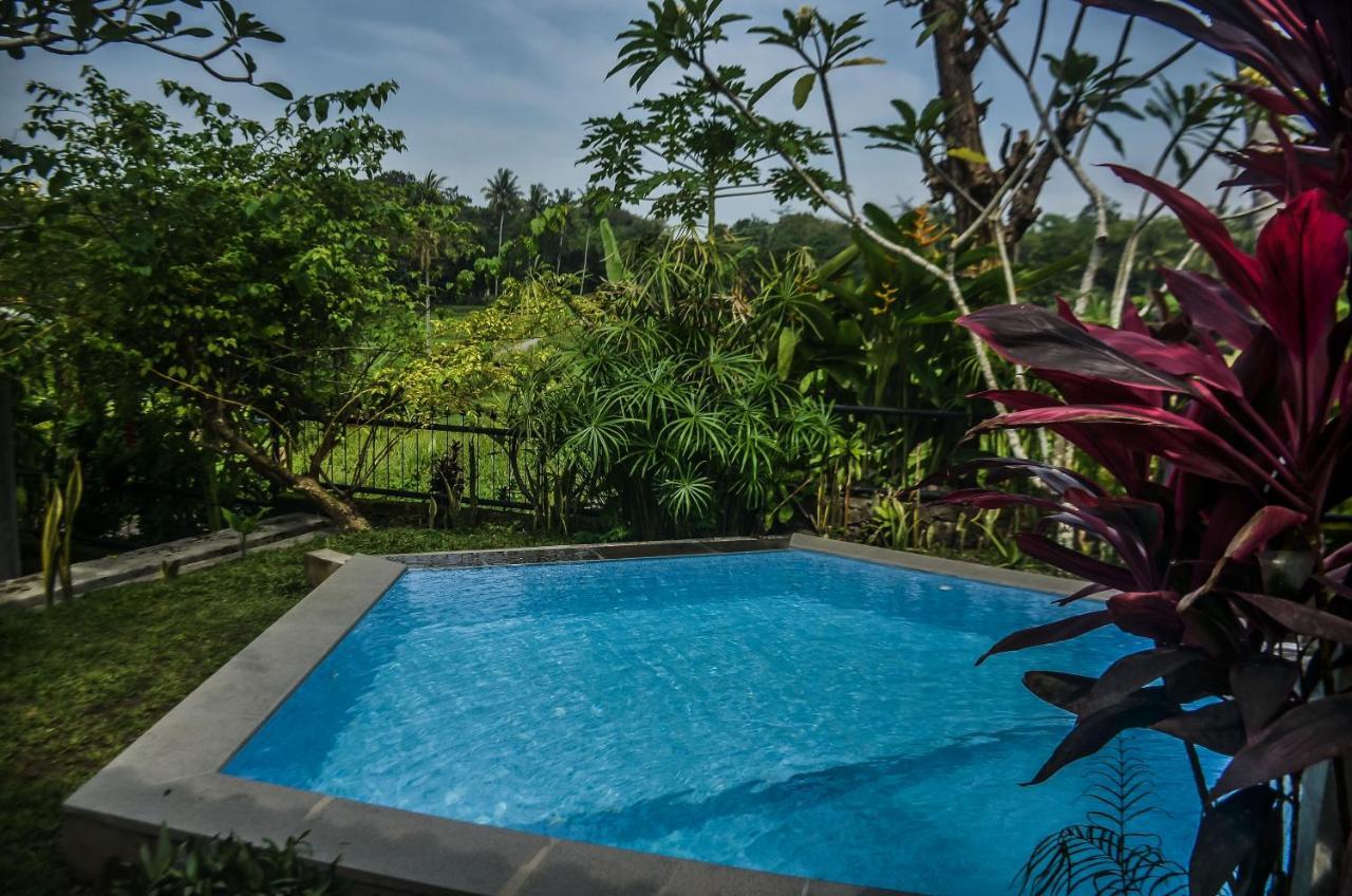 Villa Nextdoor Nature Yogyakarta Bantul Eksteriør billede