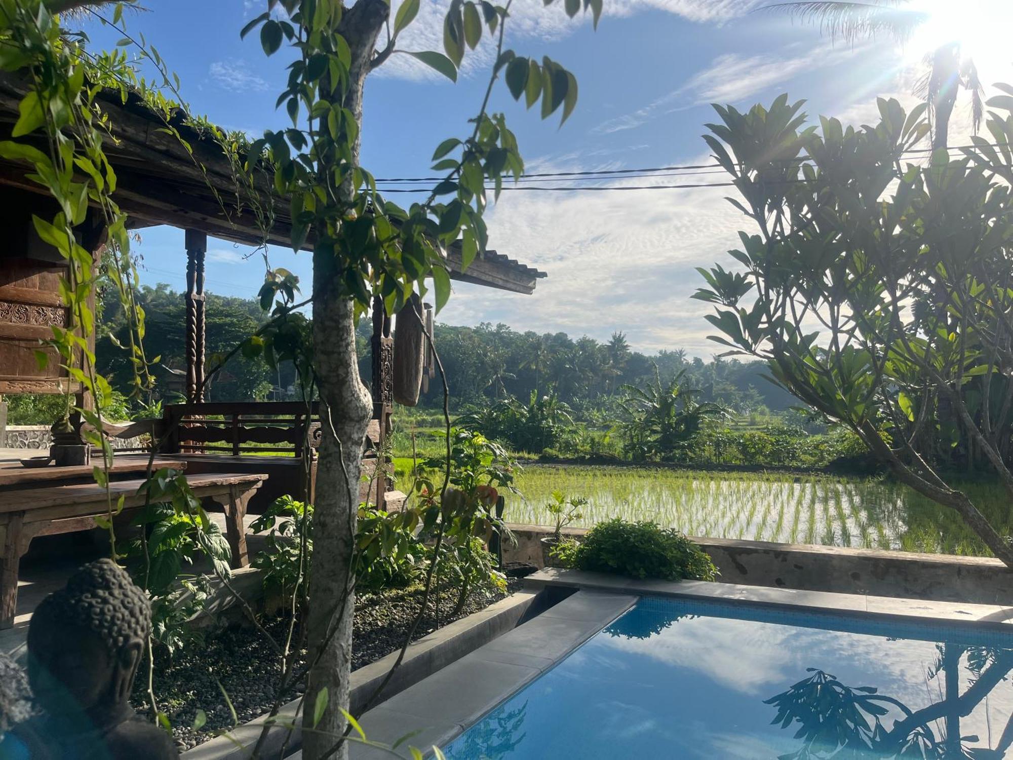 Villa Nextdoor Nature Yogyakarta Bantul Eksteriør billede