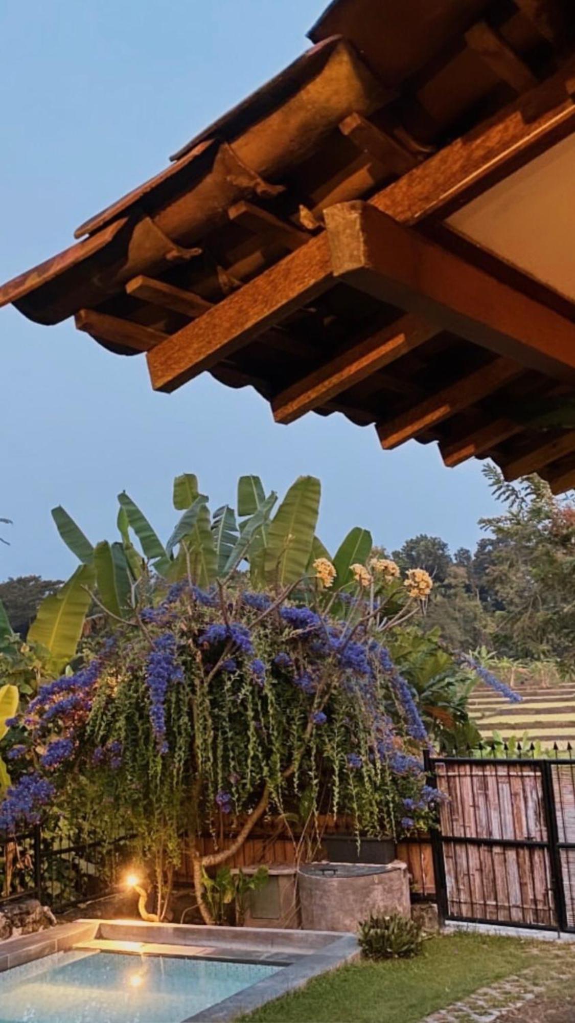 Villa Nextdoor Nature Yogyakarta Bantul Eksteriør billede