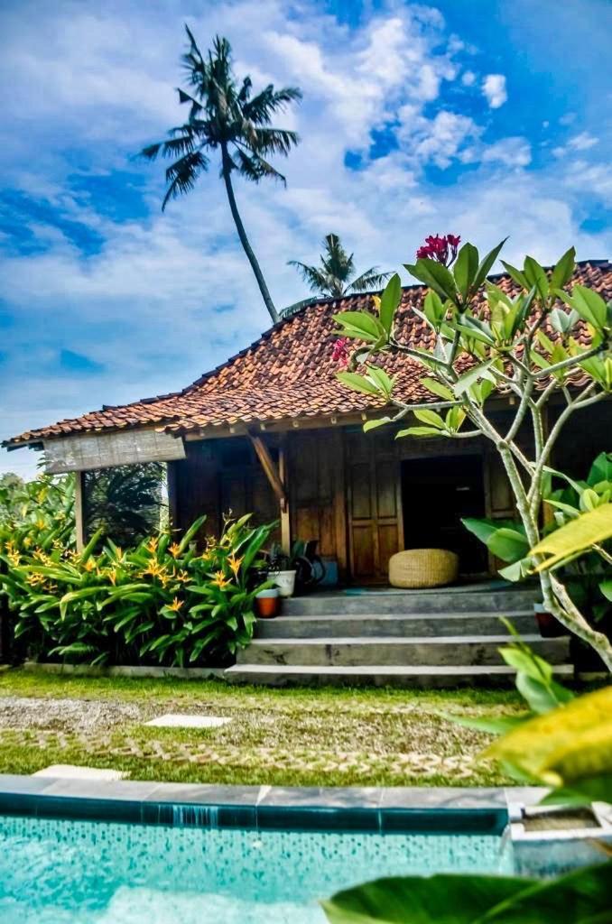 Villa Nextdoor Nature Yogyakarta Bantul Eksteriør billede