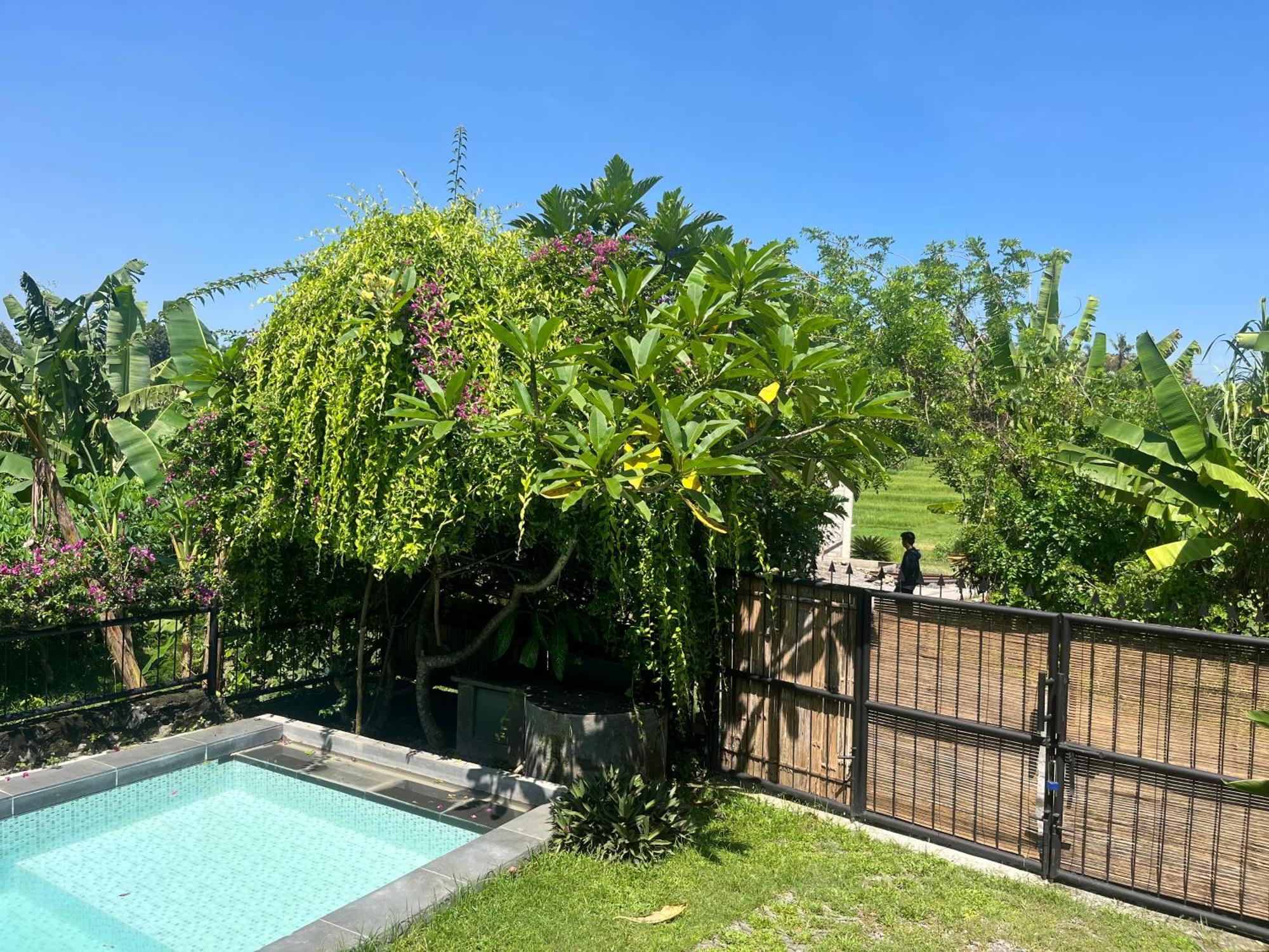 Villa Nextdoor Nature Yogyakarta Bantul Eksteriør billede