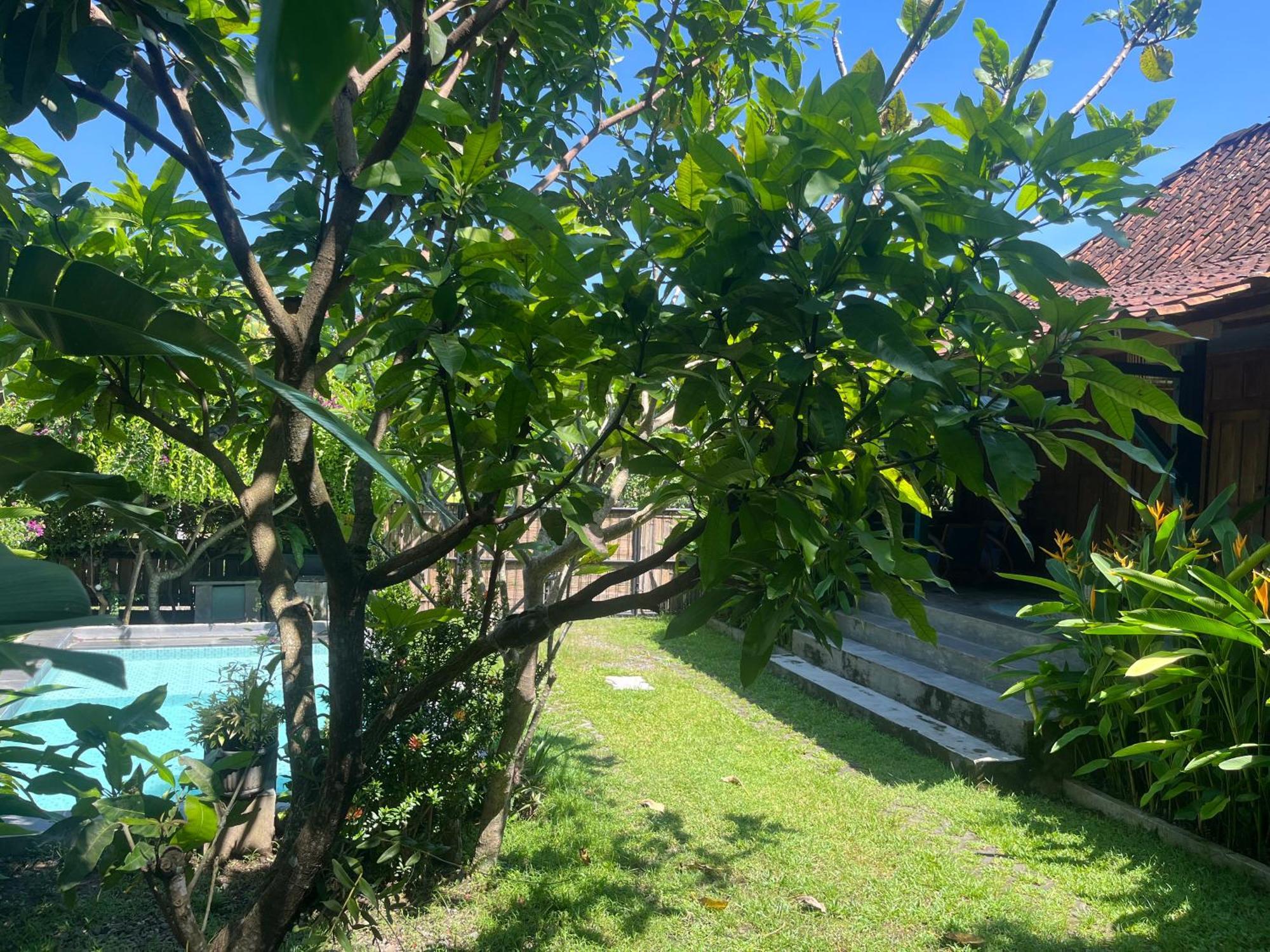 Villa Nextdoor Nature Yogyakarta Bantul Eksteriør billede